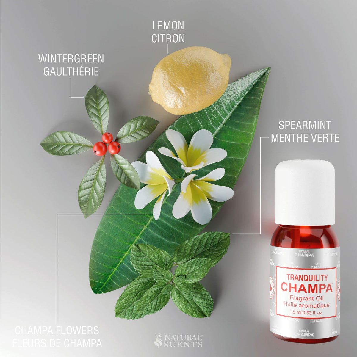 Tranquility Champa Fragrant Oil