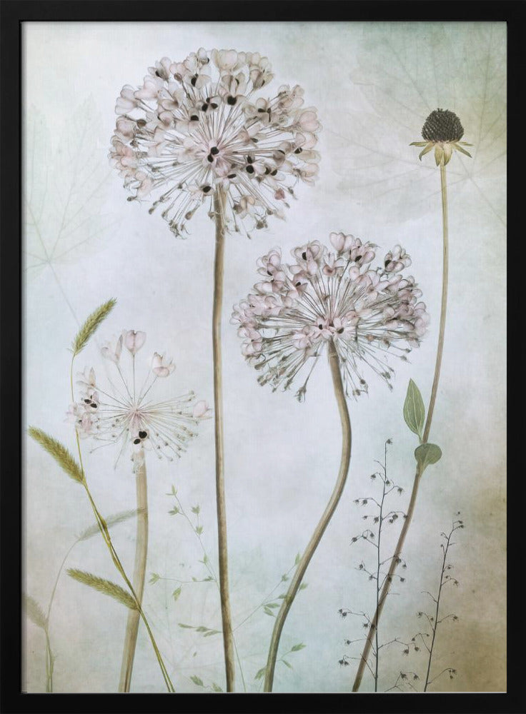 Art mural Allium