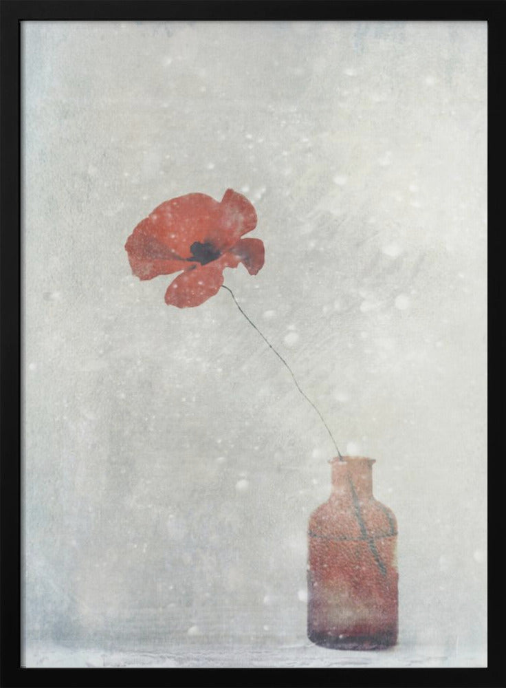 Décoration murale Coquelicot d'hiver