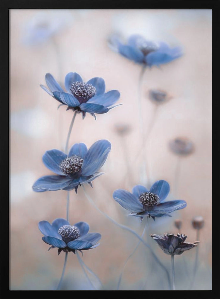 Art mural Cosmos bleu