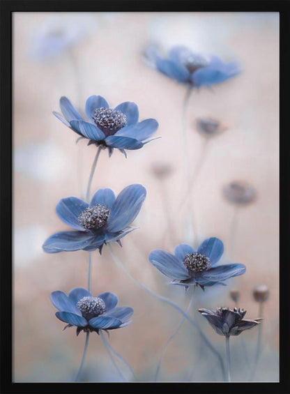 Art mural Cosmos bleu
