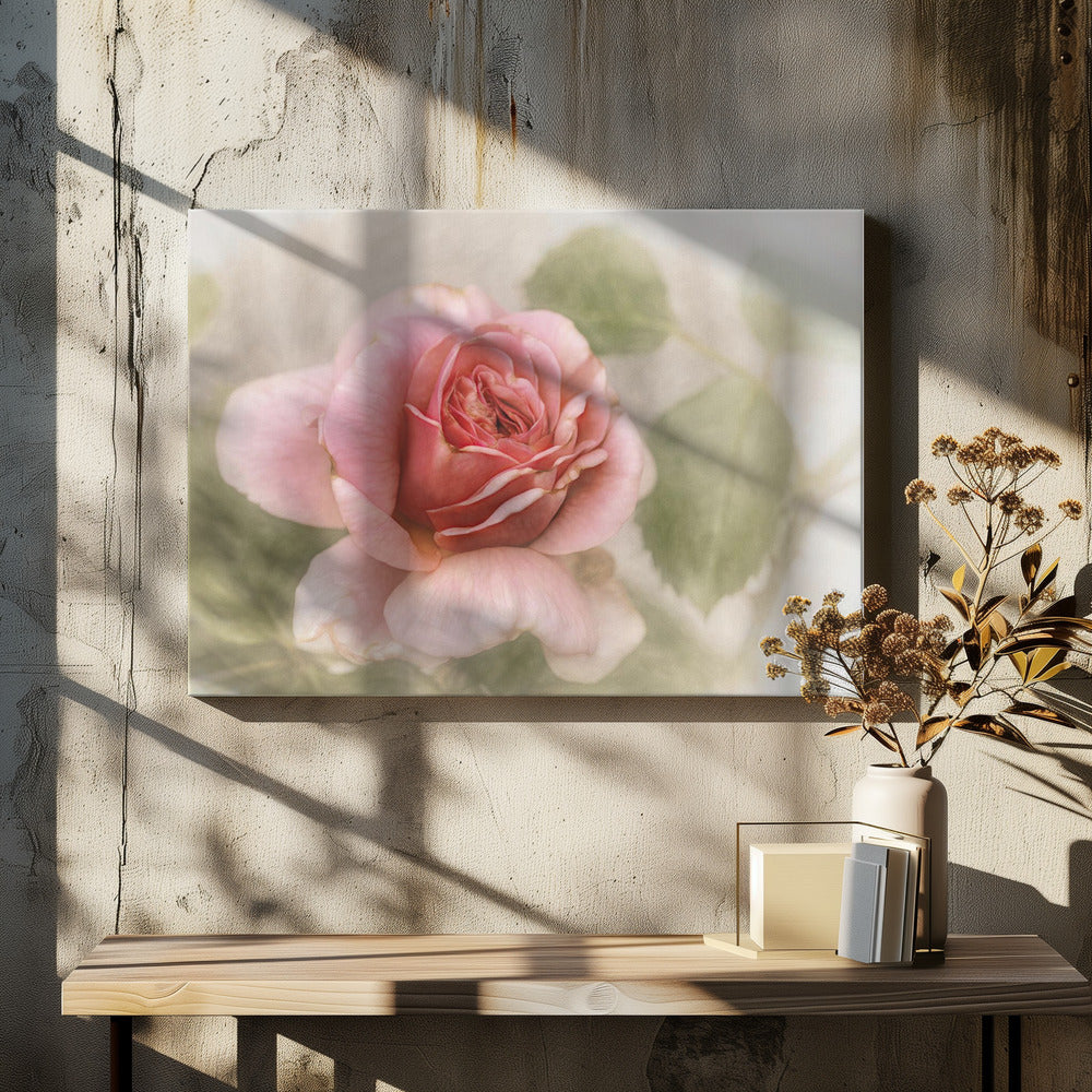 Décoration murale rose lisse