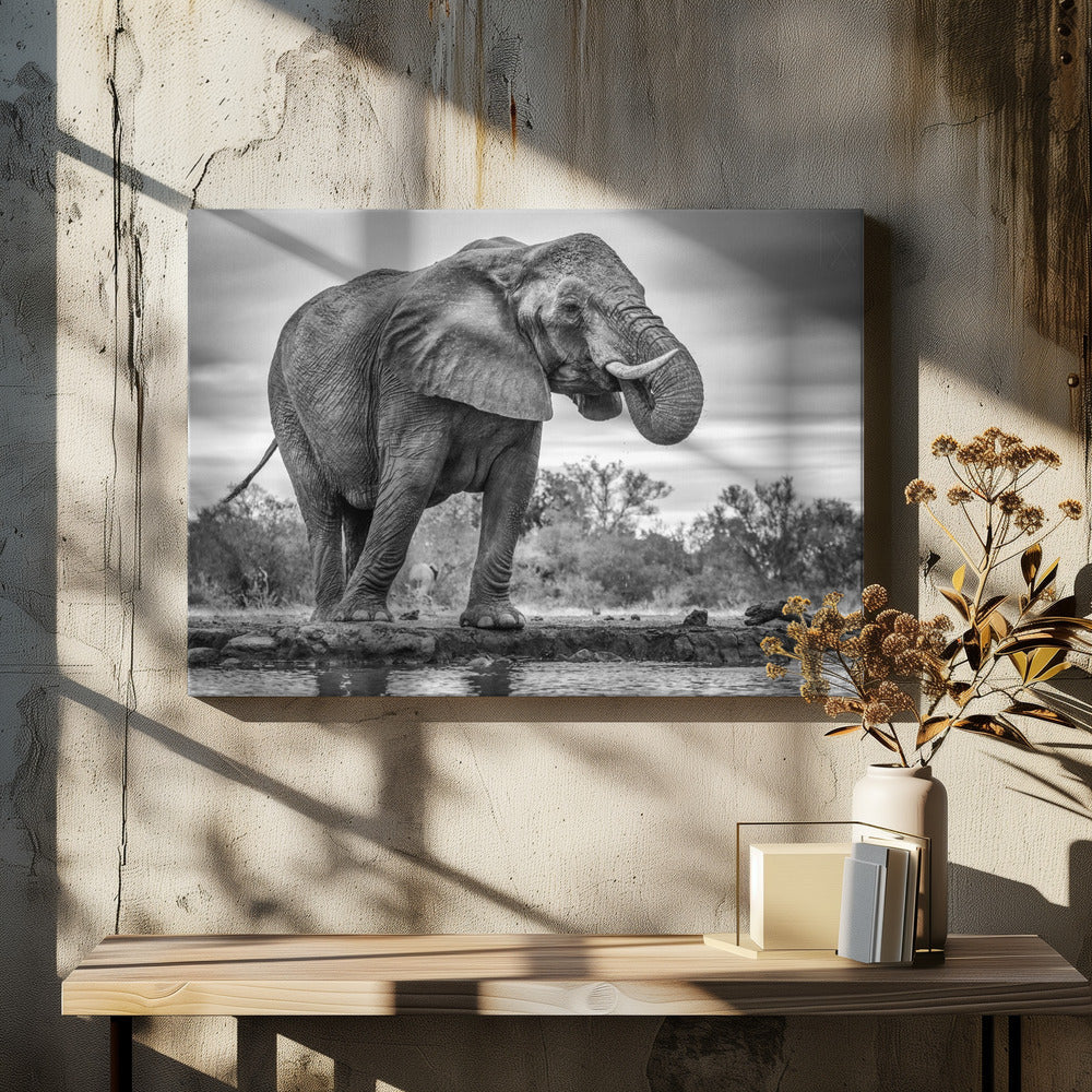 Art mural Fierté. Éléphant