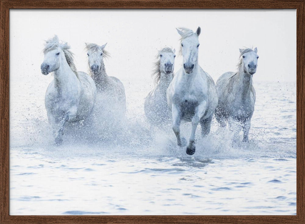 Art mural Chevaux au galop