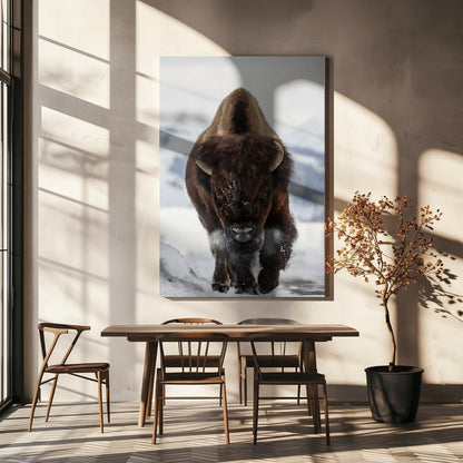 Décoration murale Bison En approche