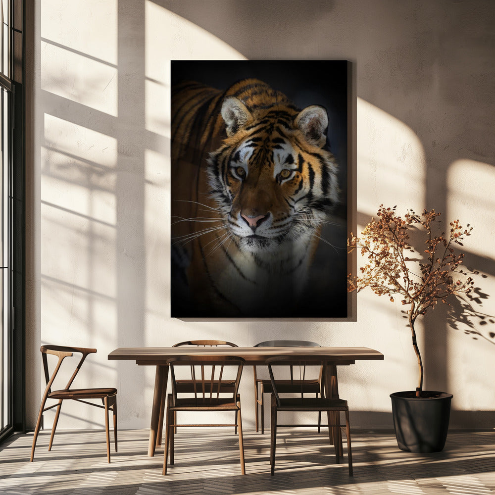 Décoration murale Portrait d'un tigre de Sibérie
