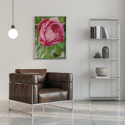 Art mural rose, lithographie de Madame John Laing