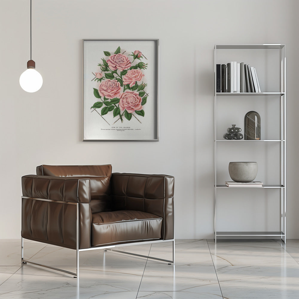 Art Mural Rose Rose, Lithographie Gemme de la Prairie