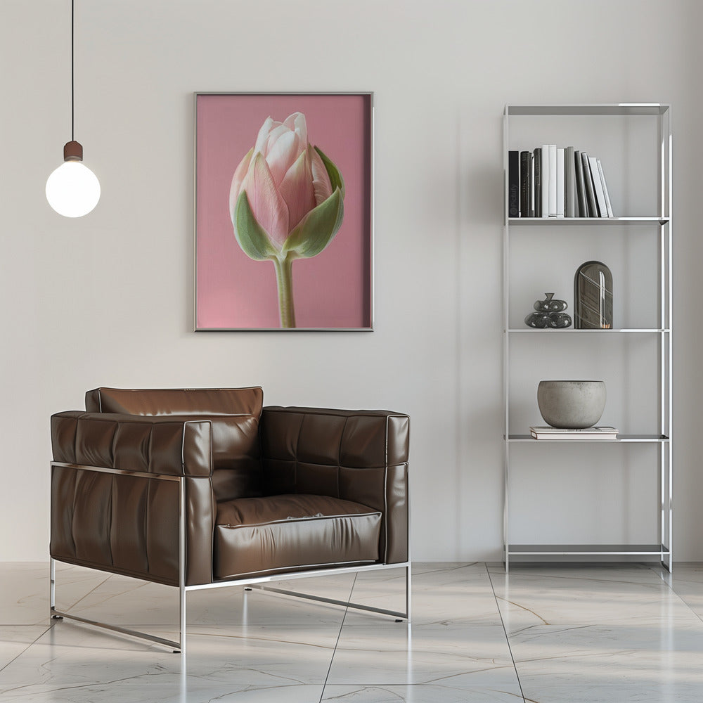 Décoration murale Tulipe Rose