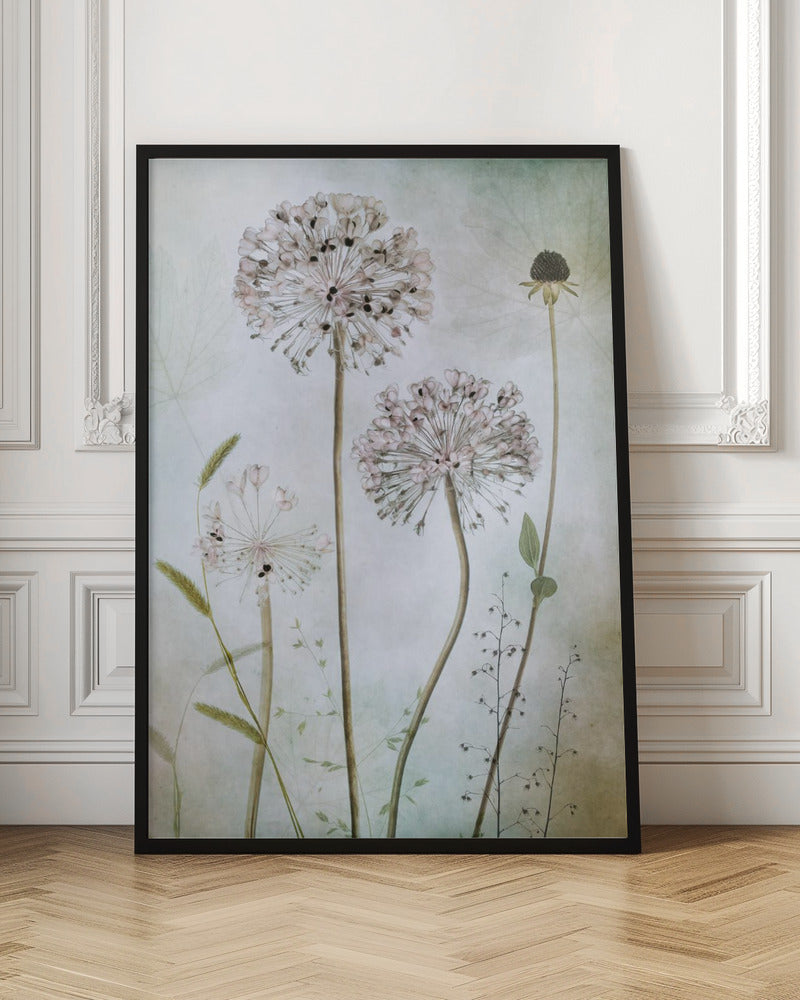 Art mural Allium