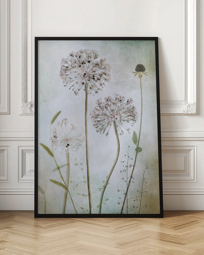 Art mural Allium