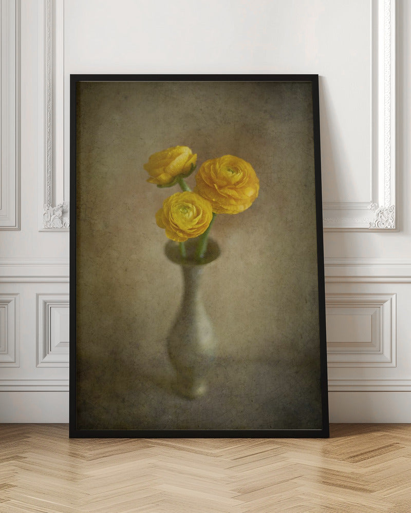 Boutons d'or