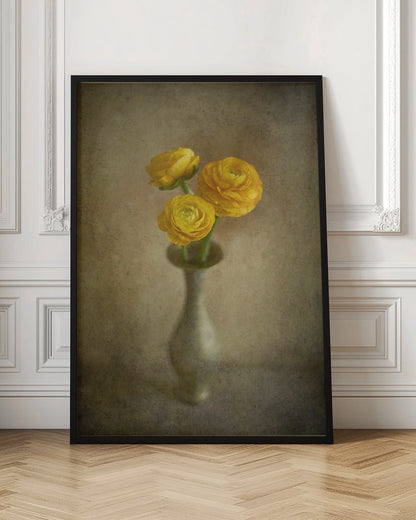 Boutons d'or