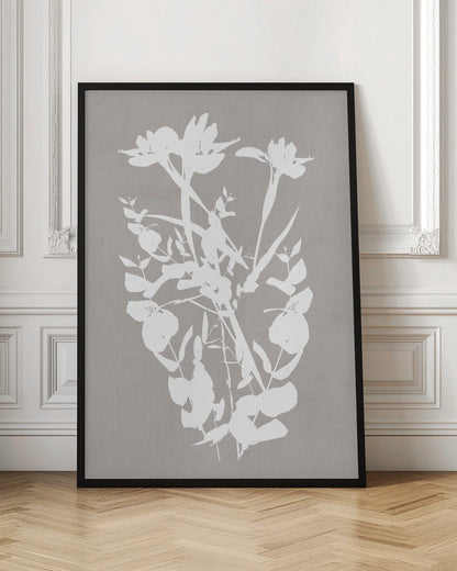 Wall art Botanical Illustration 1