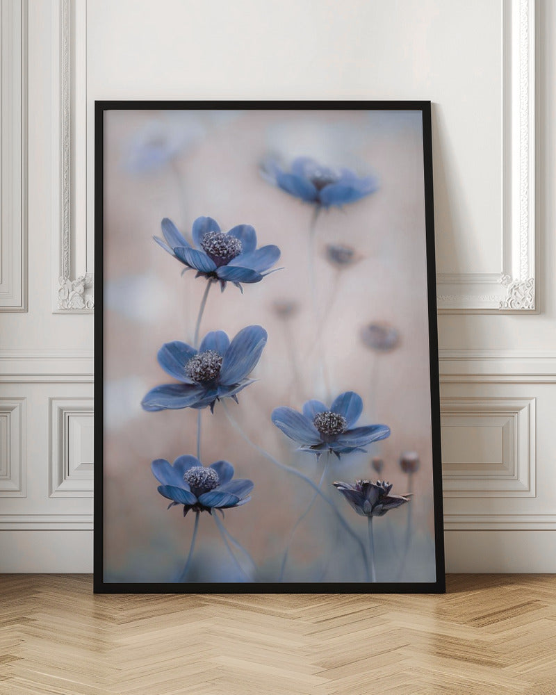 Art mural Cosmos bleu