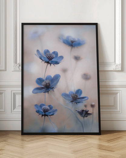 Art mural Cosmos bleu