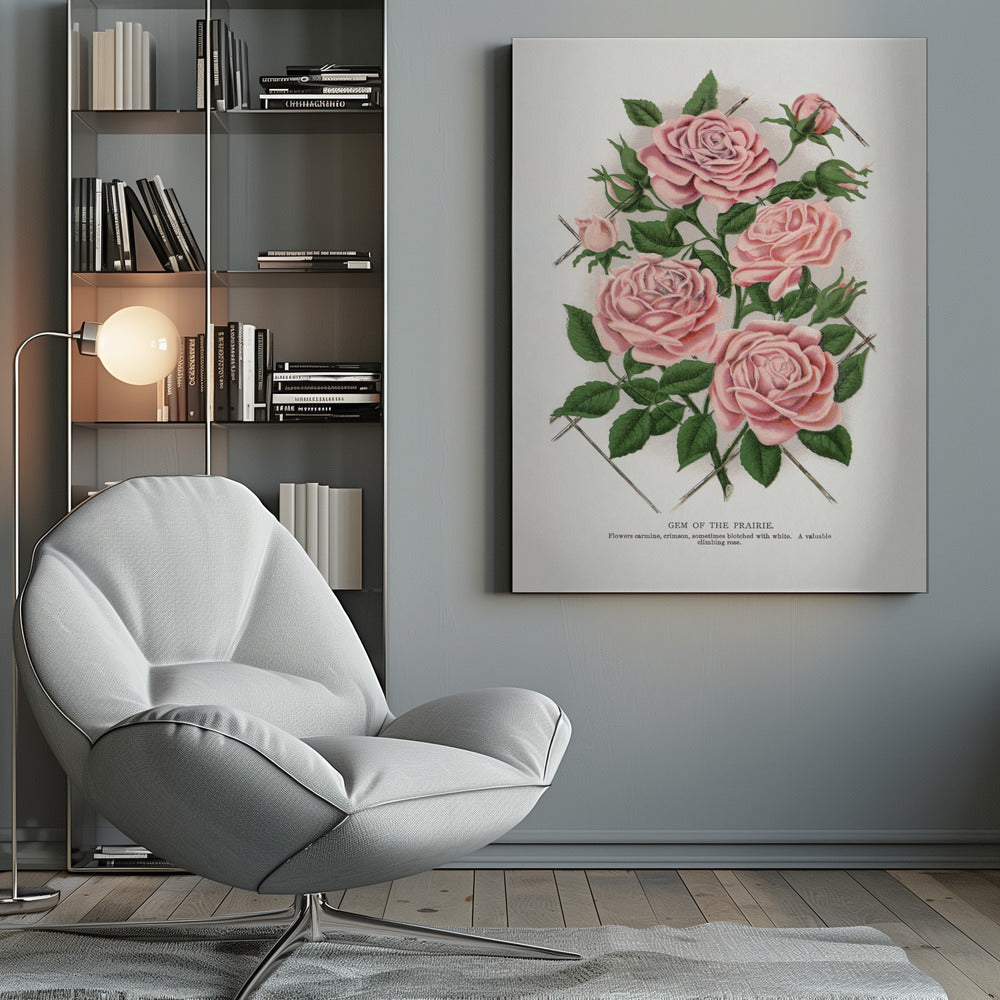 Art Mural Rose Rose, Lithographie Gemme de la Prairie