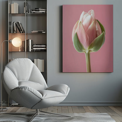 Décoration murale Tulipe Rose