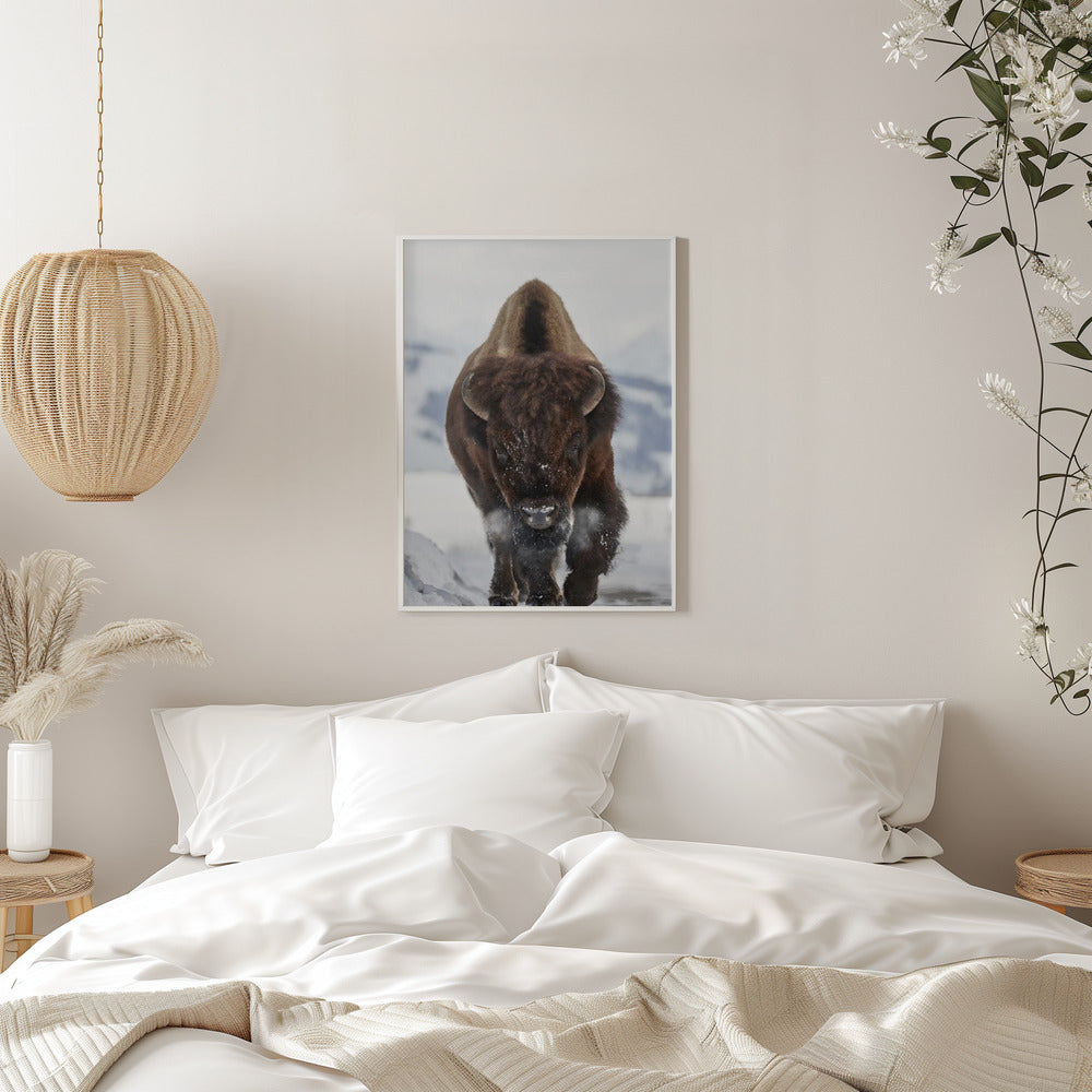Décoration murale Bison En approche
