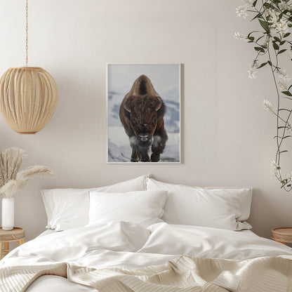 Décoration murale Bison En approche