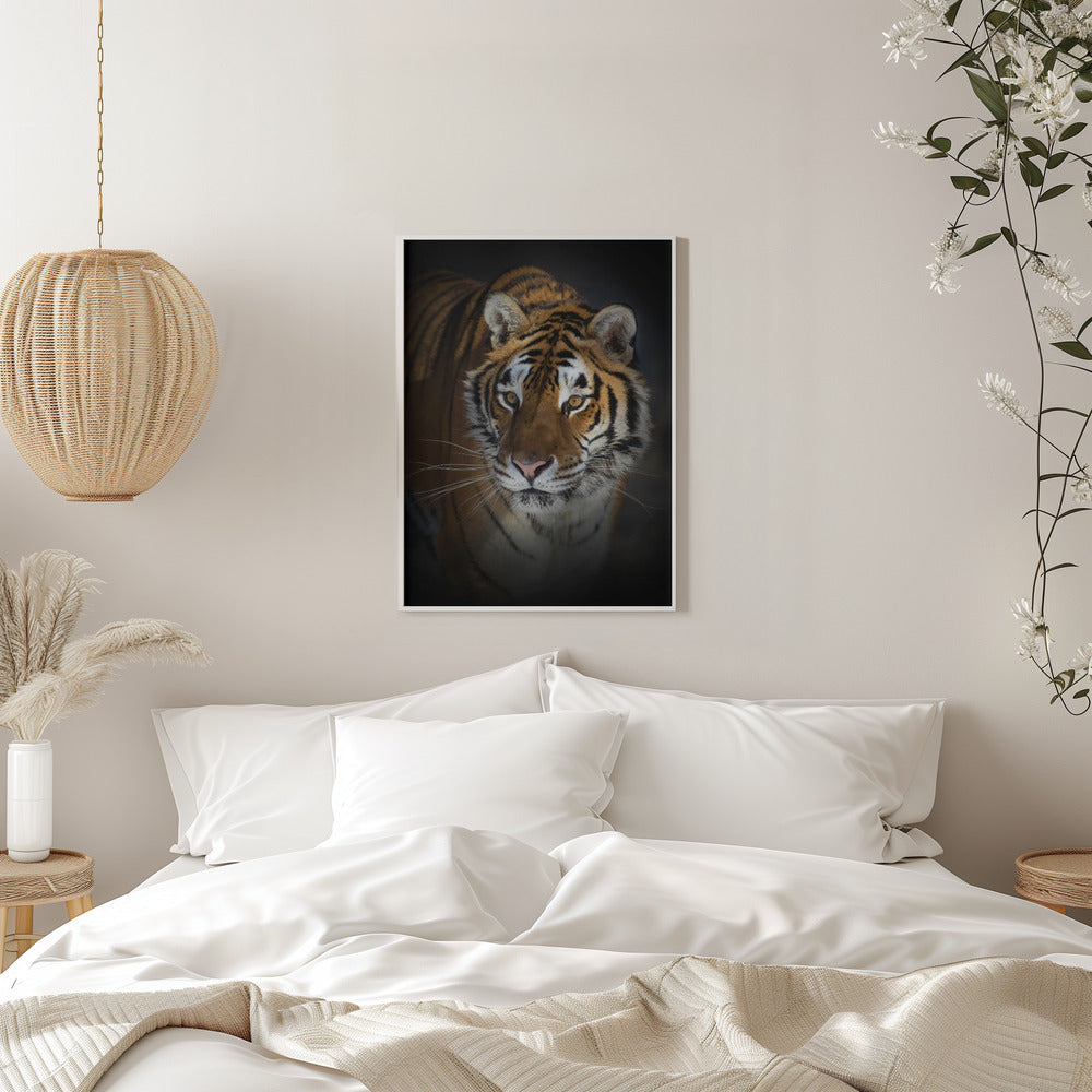 Décoration murale Portrait d'un tigre de Sibérie