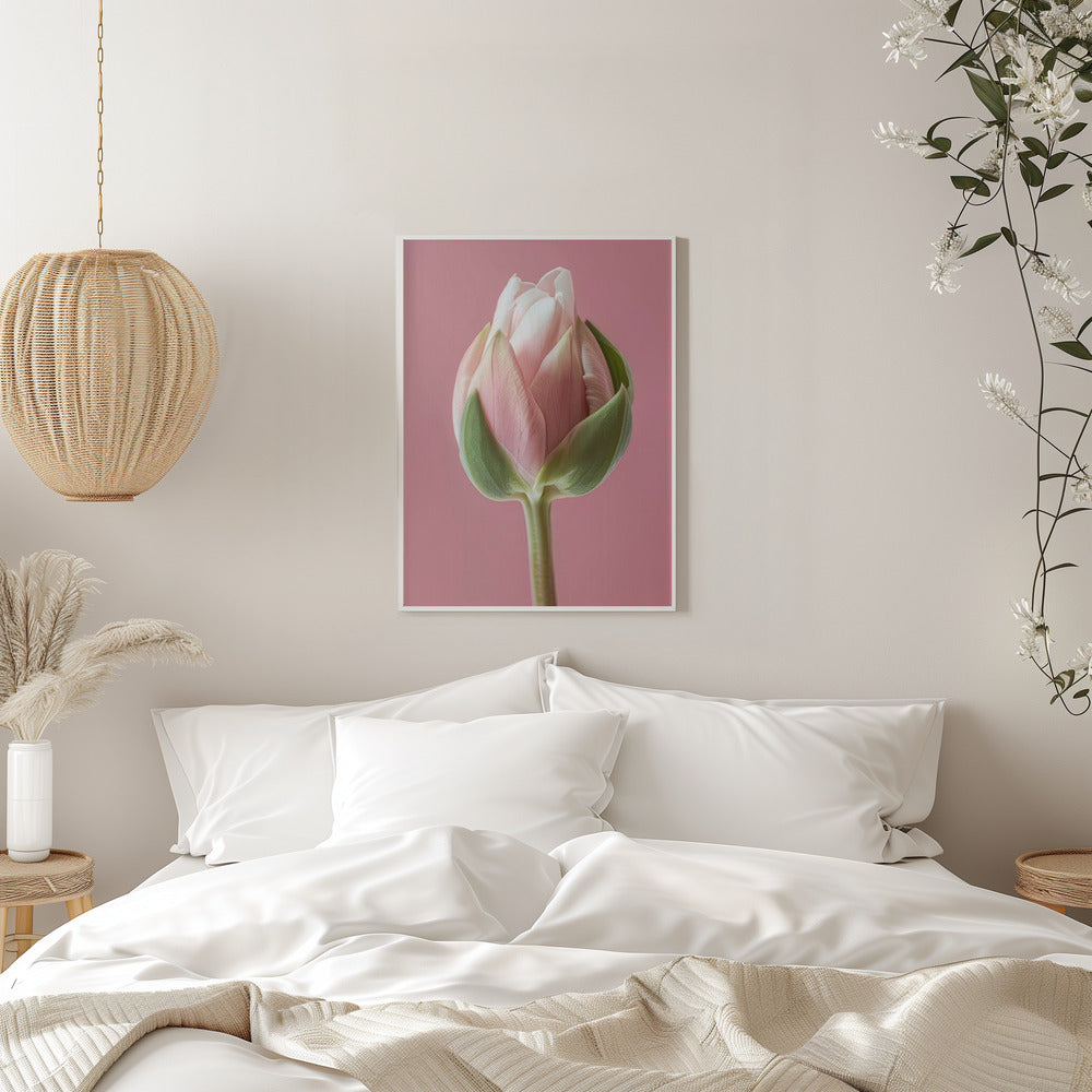 Décoration murale Tulipe Rose