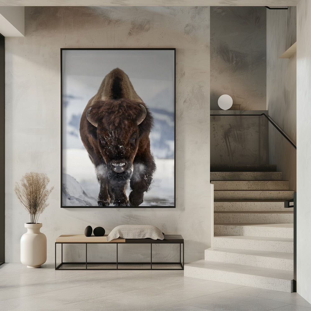 Décoration murale Bison En approche