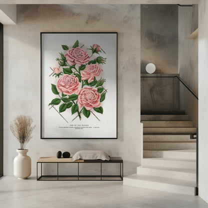Art Mural Rose Rose, Lithographie Gemme de la Prairie