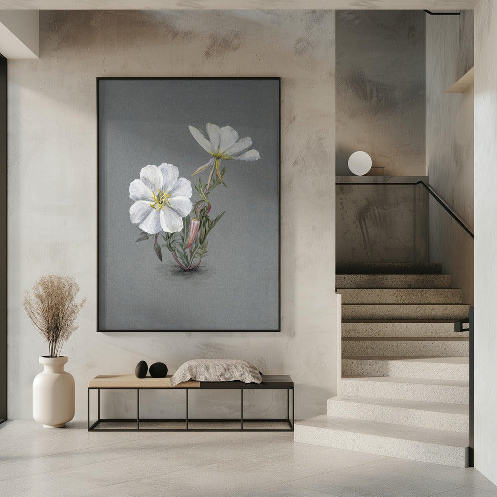 Wall Art Giant Helleborine (1880)