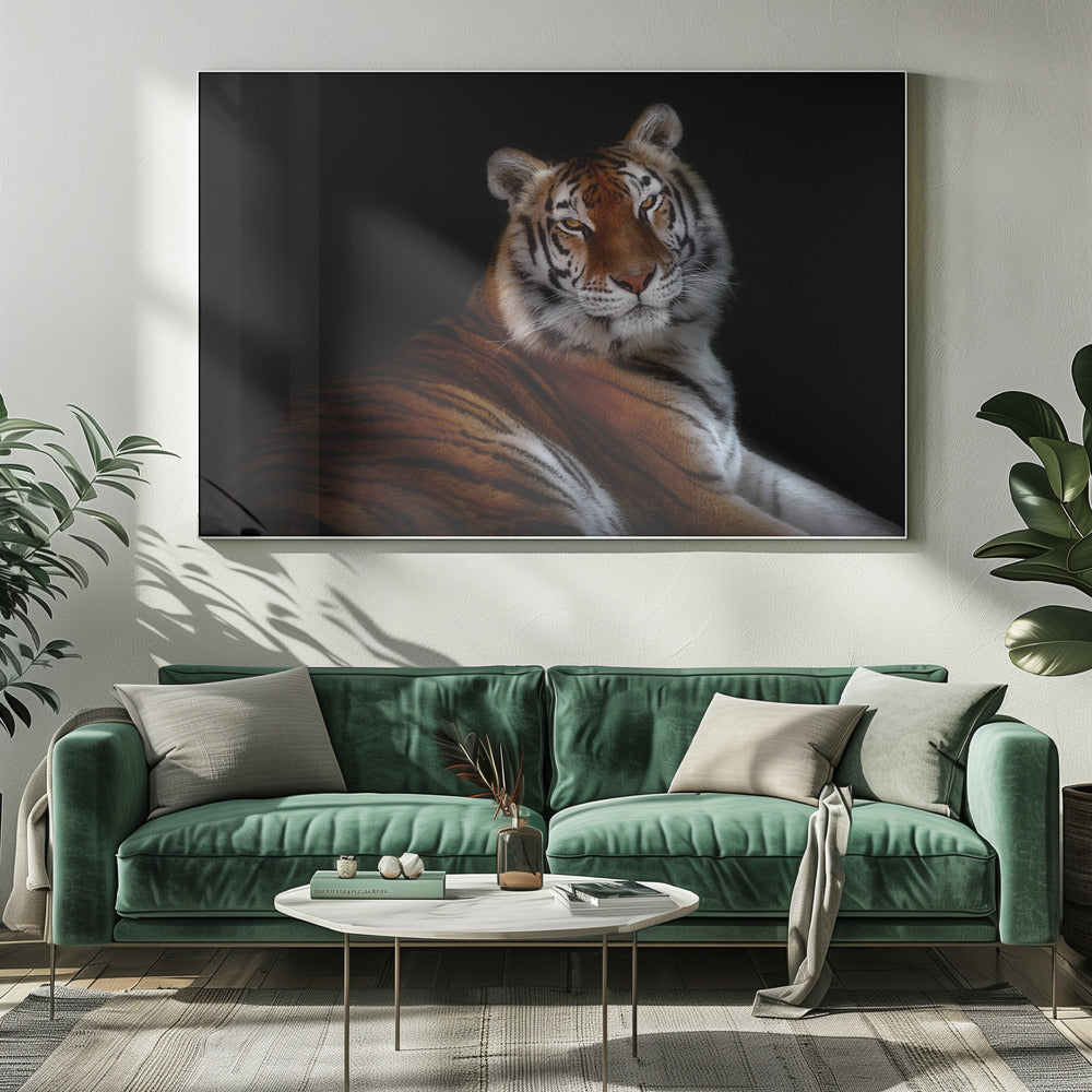 Resting Tiger Portrait on Black Canvas Wall Art | Serenity