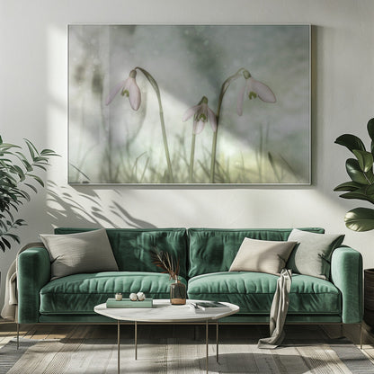 Wall Art Trio 2