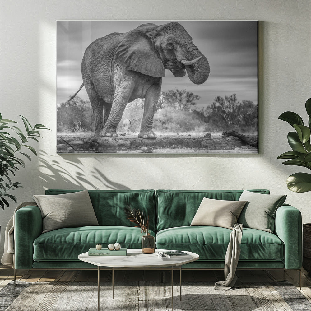 Art mural Fierté. Éléphant