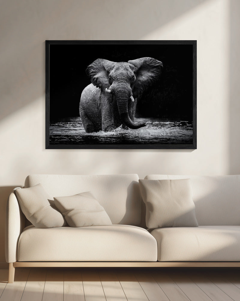 Art mural Power 1. Éléphant