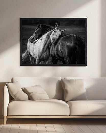 Impression sur toile Chevaux sous la pluie chaude