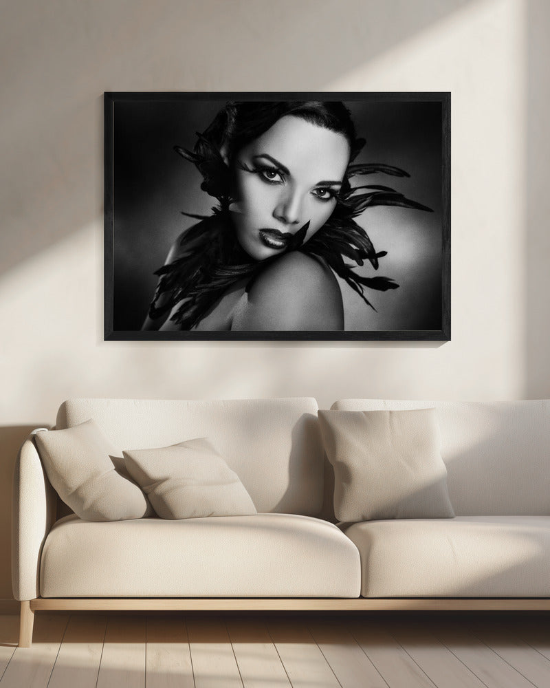 Art mural Les plumes noires