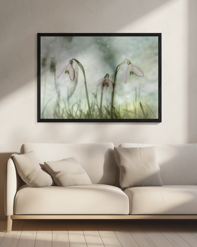 Wall Art Trio 2