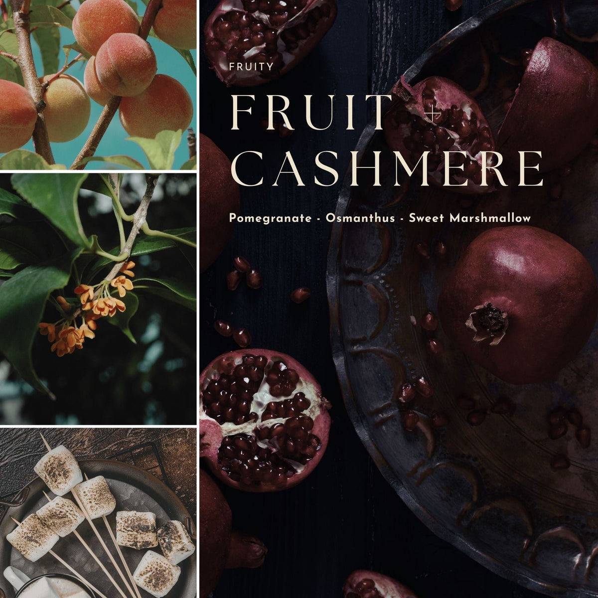 Bougies Gourmandes, Fruitées et Hespéridées
