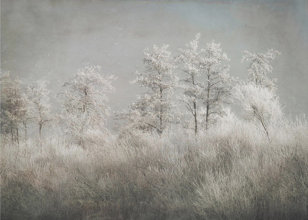 Art mural Matin froid