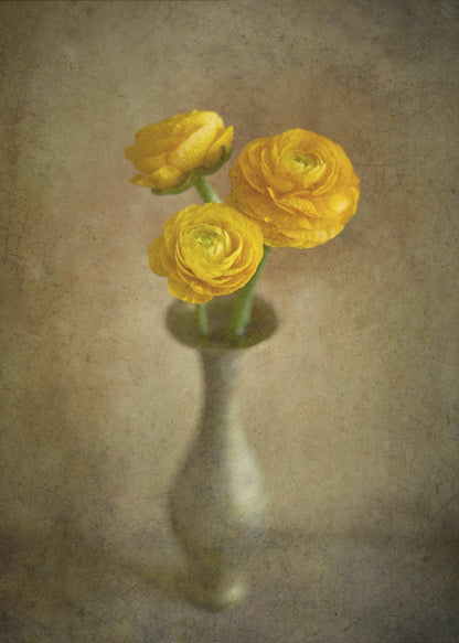 Boutons d'or