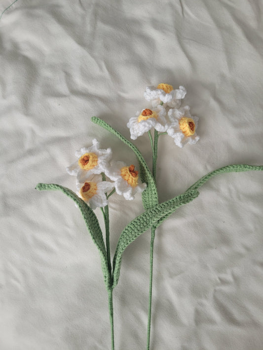 Daffodils