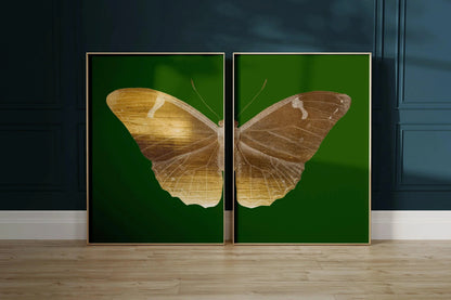 Emerald Moth Diptych Butterfly Art Prints: Vintage Gold Duo