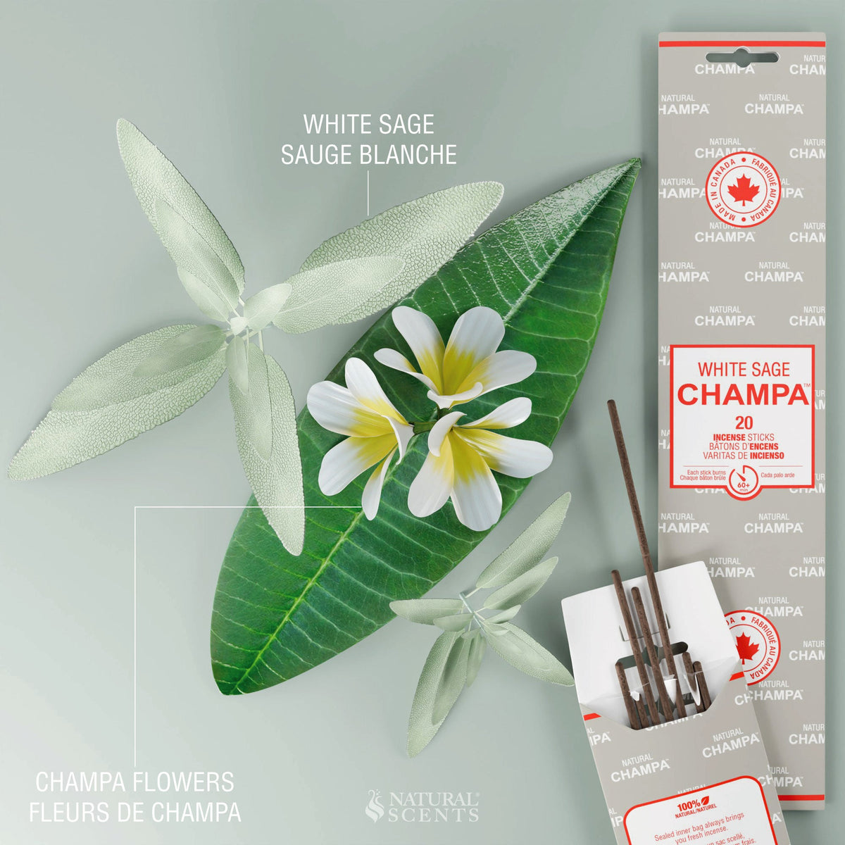 White Sage Champa Incense Sticks